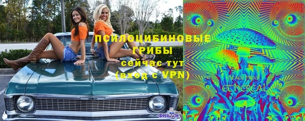 тгк Бронницы